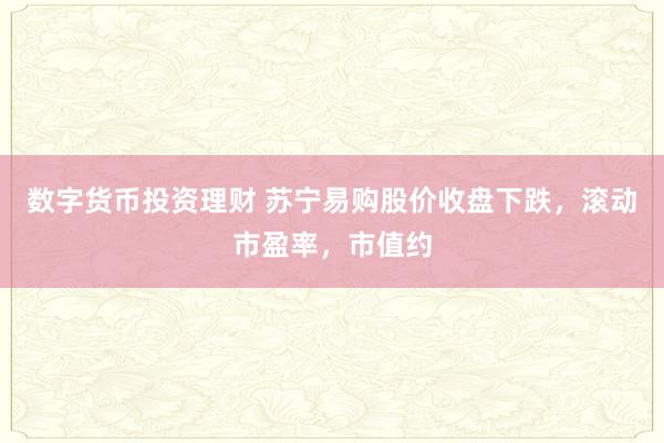 数字货币投资理财 苏宁易购股价收盘下跌，滚动市盈率，市值约