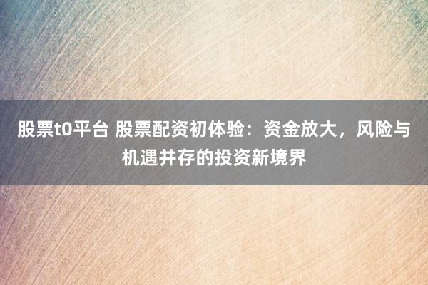 股票t0平台 股票配资初体验：资金放大，风险与机遇并存的投资新境界