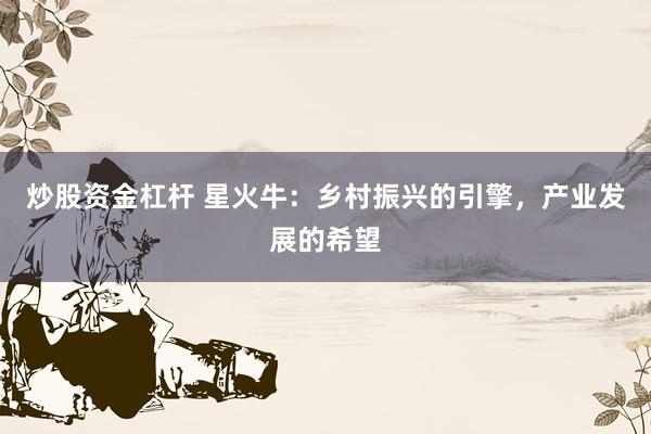 炒股资金杠杆 星火牛：乡村振兴的引擎，产业发展的希望
