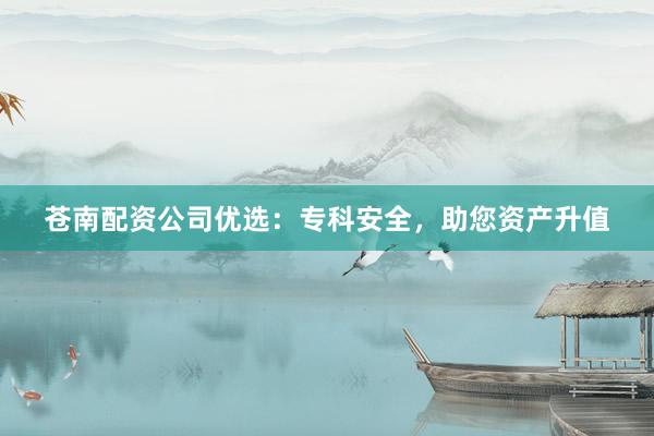 苍南配资公司优选：专科安全，助您资产升值