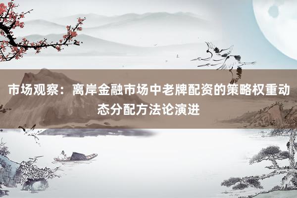 市场观察：离岸金融市场中老牌配资的策略权重动态分配方法论演进