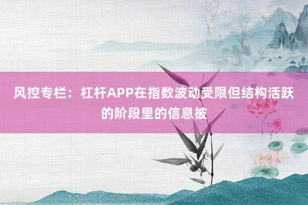 风控专栏：杠杆APP在指数波动受限但结构活跃的阶段里的信息披