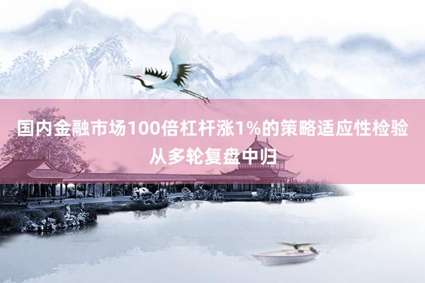 国内金融市场100倍杠杆涨1%的策略适应性检验从多轮复盘中归