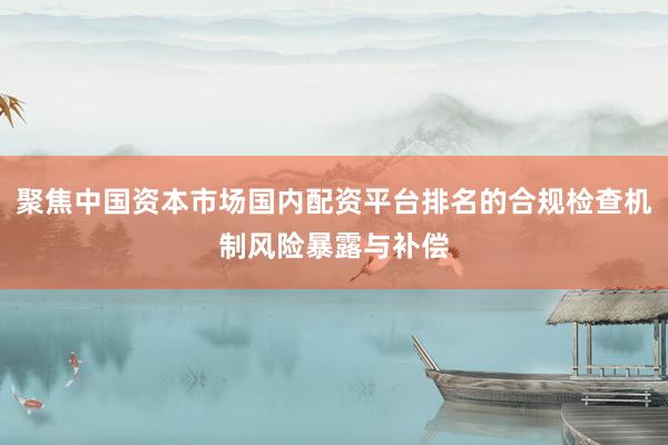 聚焦中国资本市场国内配资平台排名的合规检查机制风险暴露与补偿