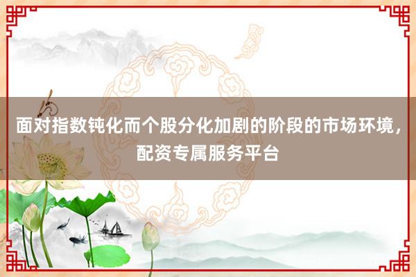 面对指数钝化而个股分化加剧的阶段的市场环境，配资专属服务平台