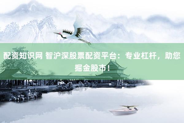 配资知识网 智沪深股票配资平台：专业杠杆，助您掘金股市！