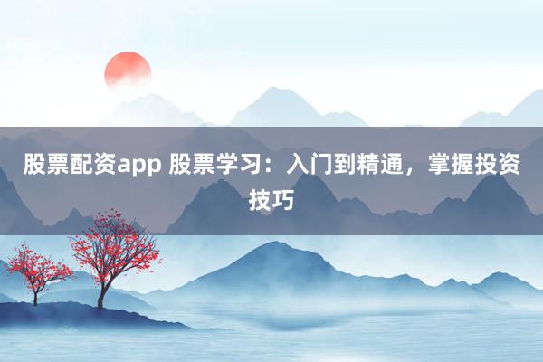 股票配资app 股票学习：入门到精通，掌握投资技巧